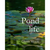 Alumni Spotlight: Finding Poetry in Everyday Life - Glenis Moore's Journey to Publication