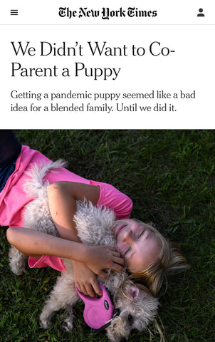 New Essay From Instructor Chloe Caldwell in The New York Times!