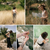 The Poetics of Attention: How to See Like a Poet with Lindsey Royal Wayland