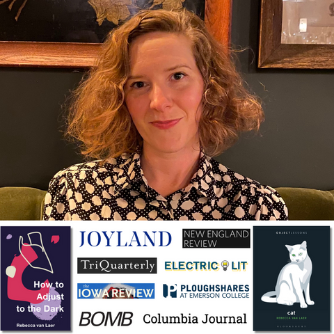 Everyday Drama: Shaping Memoir from Diaries, Notes, and Journals 4-Week Zoom Workshop with Rebecca van Laer, Starts Tuesday, October 28th, 2025